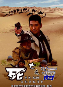 久久93精品国产91久久综合